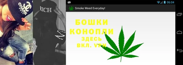 спайс Баксан