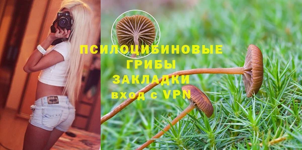 спайс Баксан