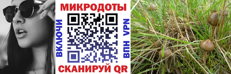 Галлюциногенные грибы Magic Shrooms  Реутов 